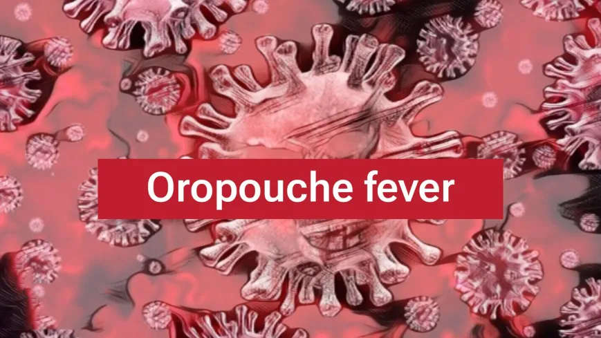 Oropouche Fever