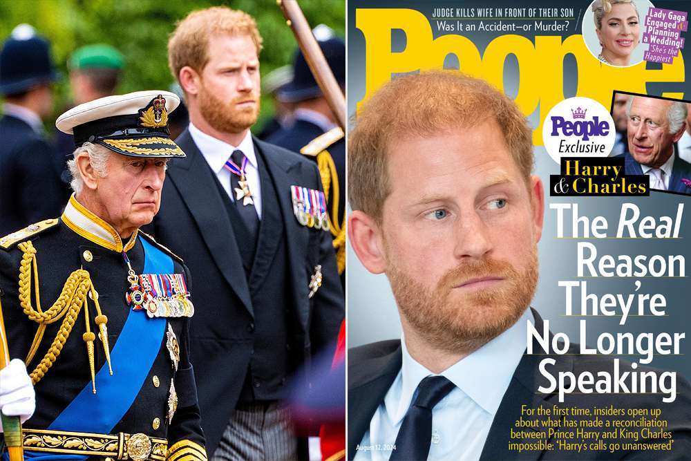 Inside the Royal Rift: The Feud and Fallout Between King Charles and Prince Harry