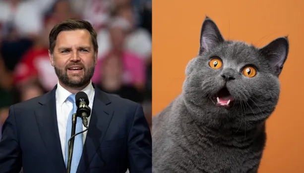 The Politics of Parenthood: JD Vance’s ‘Childless Cat Ladies’ Comment and Its Impact on the 2024 Election